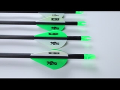 .204 стрелы для охоты