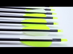 стандартный размер 6,2 мм охотничьи и цели стрелы Blast Pro серии